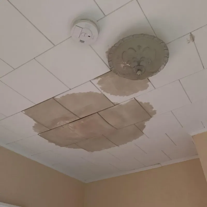 Ceiling Water Damage Repair in Fairway, KS