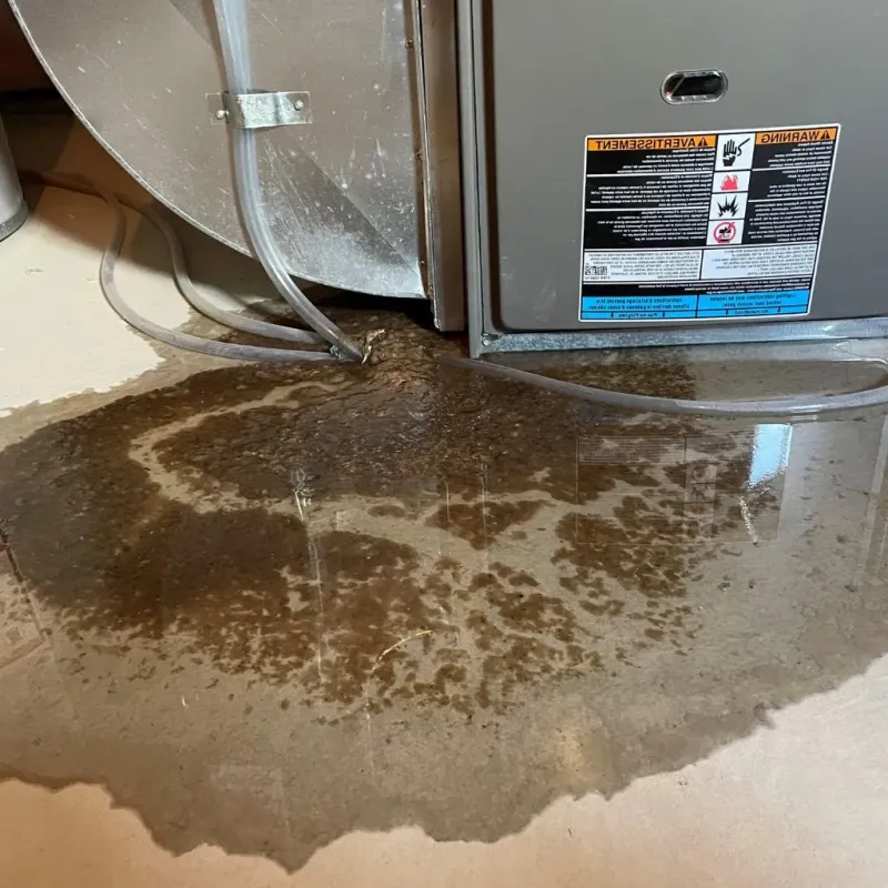 Pipe Burst and Leak Restoration in Fairway, KS