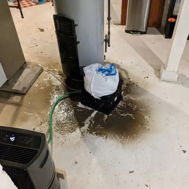 Sewage Backup Cleanup Service in Fairway, KS
